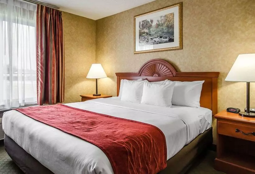 호텔 Quality Inn & Suites Rockport   Owensboro North
