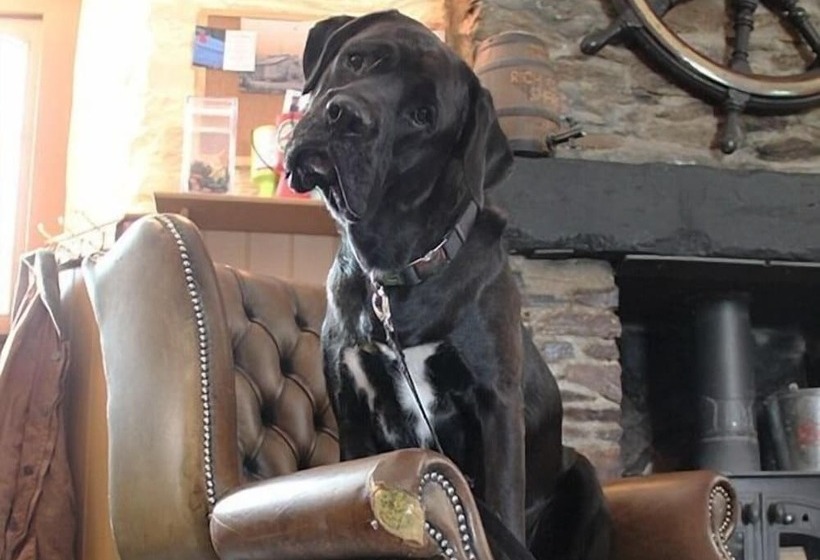 ホテル Royal Oak Inn