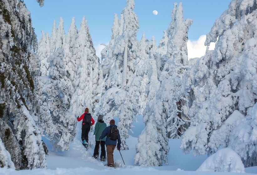 渡假胜地  The Lodge At Eagle Crest