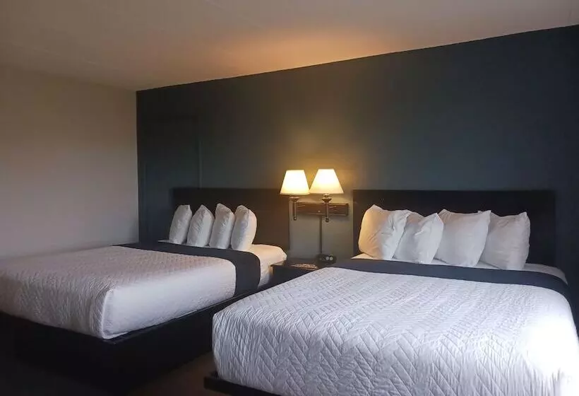 The Oasis Hotel & Bar