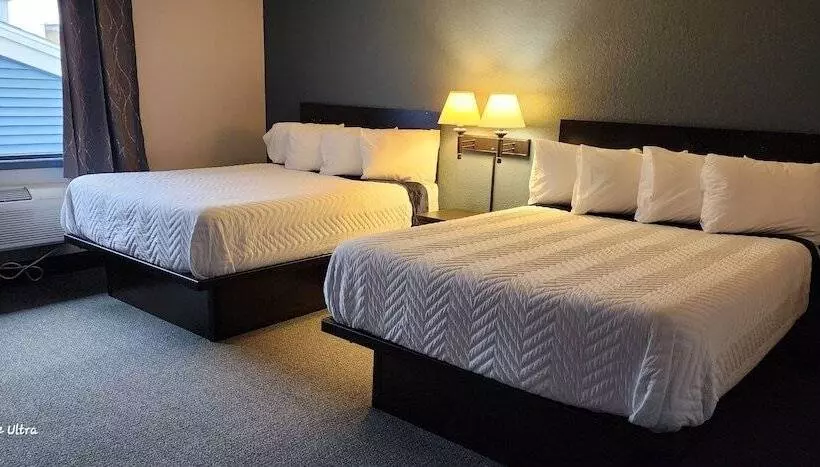 The Oasis Hotel & Bar