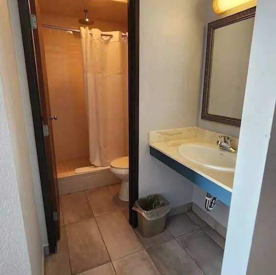 The Oasis Hotel & Bar