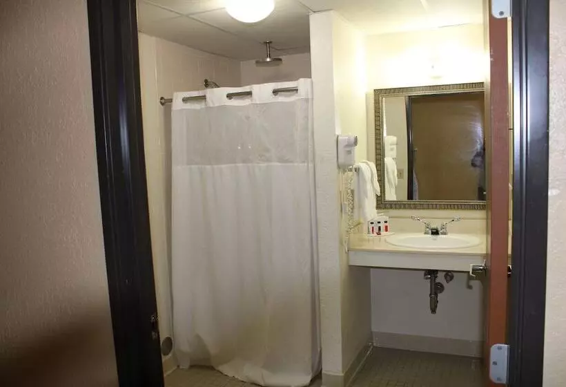 The Oasis Hotel & Bar