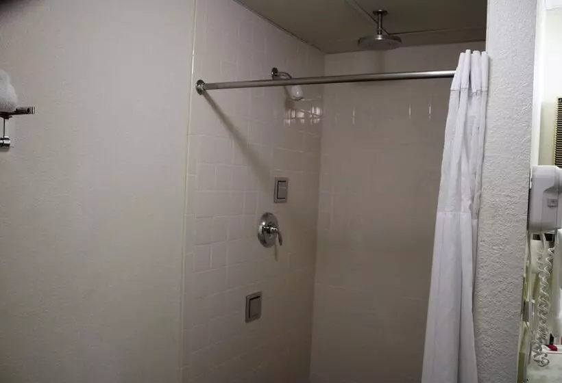 The Oasis Hotel & Bar