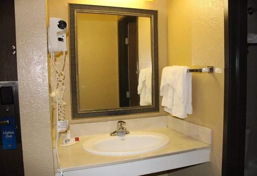 The Oasis Hotel & Bar