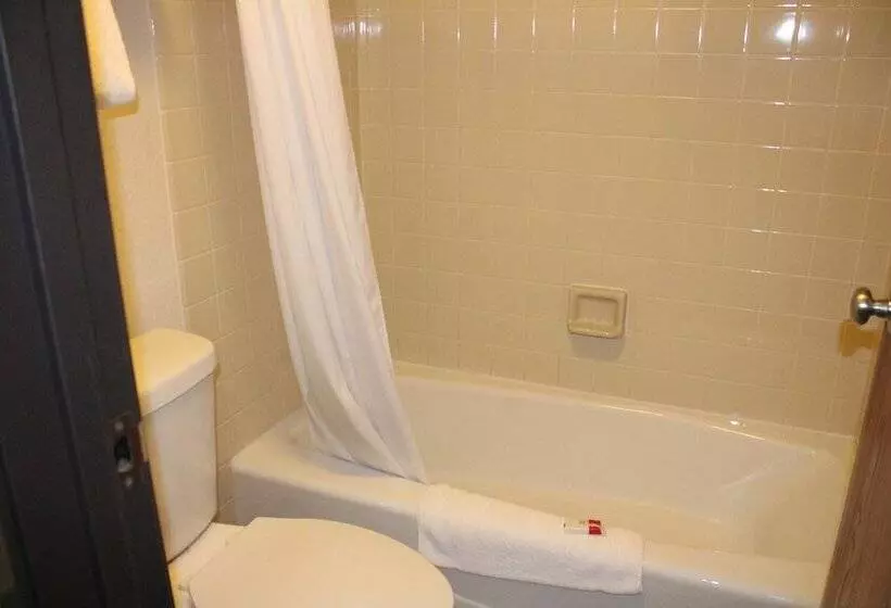 The Oasis Hotel & Bar