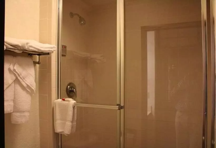 The Oasis Hotel & Bar