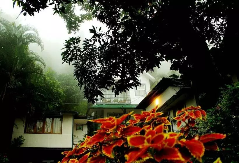 Отель Bella Vista Resort