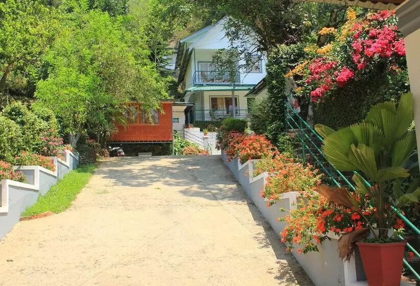 Отель Bella Vista Resort