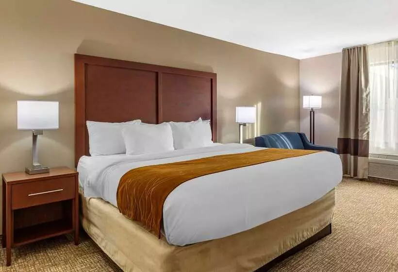 ホテル Comfort Inn Smithfield Near I 95