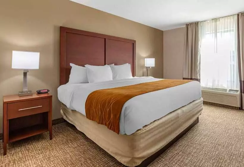 ホテル Comfort Inn Smithfield Near I 95