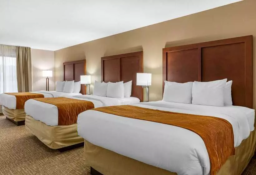 ホテル Comfort Inn Smithfield Near I 95