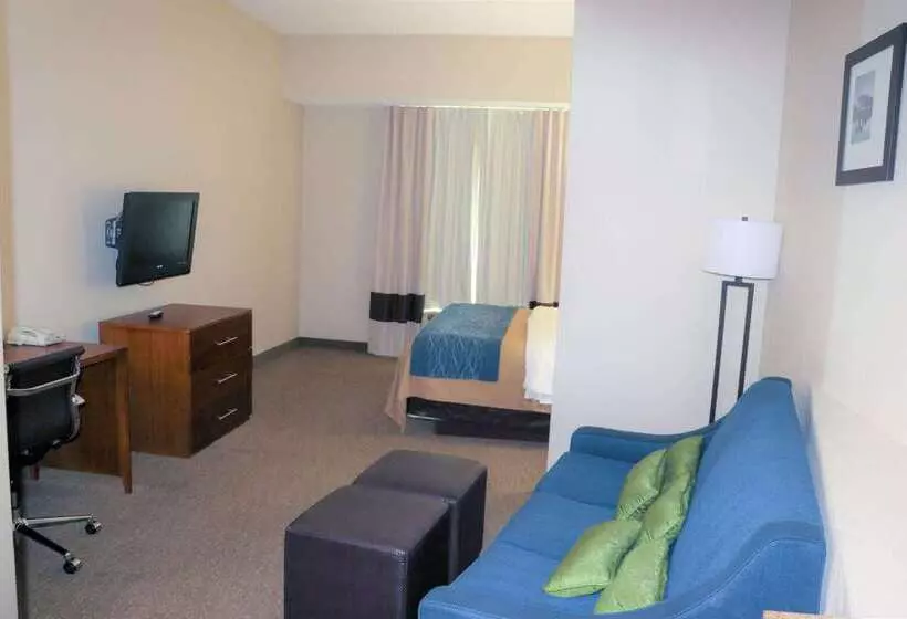 호텔 Comfort Inn & Suites Sikeston I55