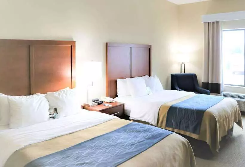 호텔 Comfort Inn & Suites Sikeston I55