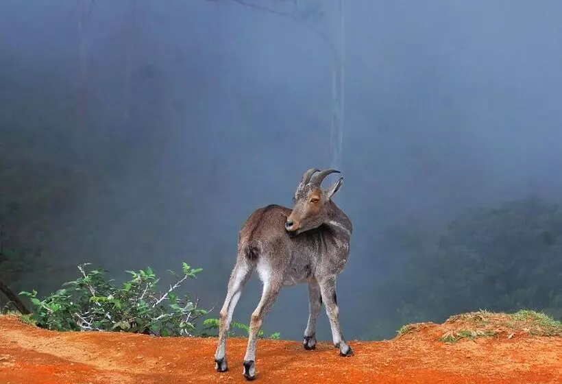 Hotel Elysium Garden