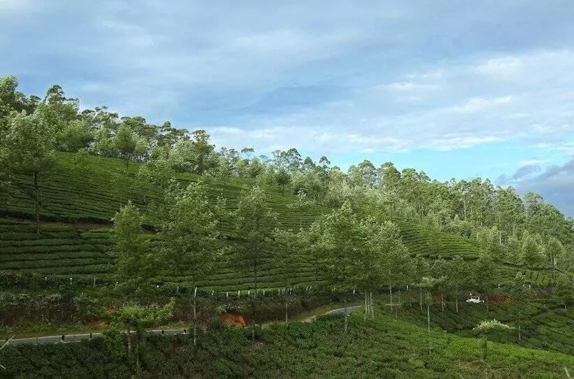 Hotel Elysium Garden