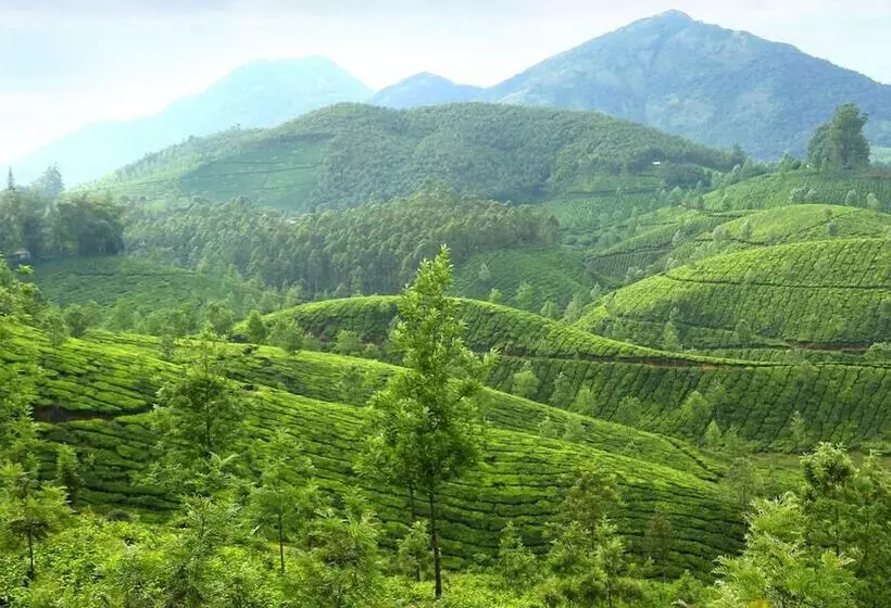 Hotel Elysium Garden