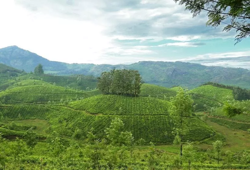 Hotel Elysium Garden