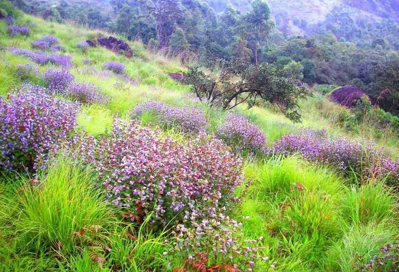 Hotel Elysium Garden