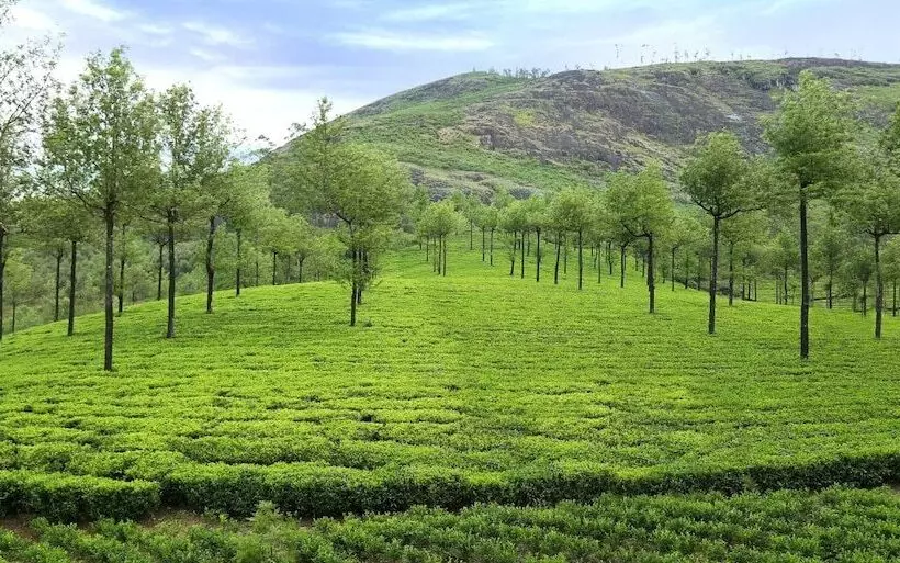 Hotel Elysium Garden