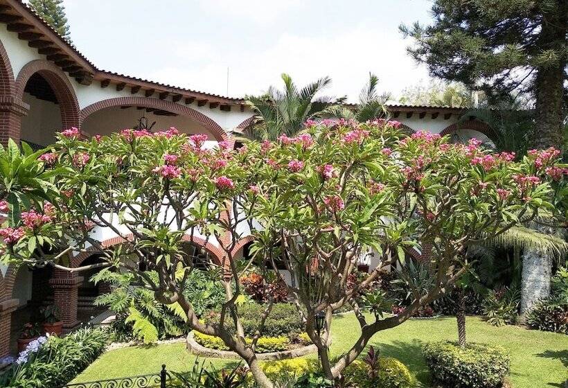 فندق Vista Hermosa