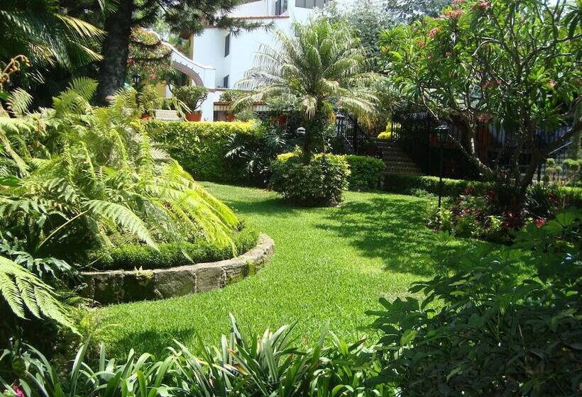 فندق Vista Hermosa