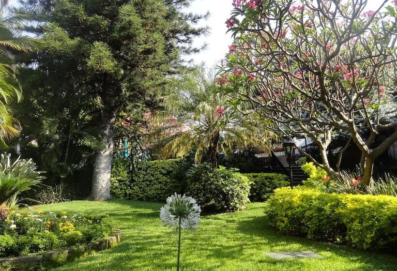 فندق Vista Hermosa