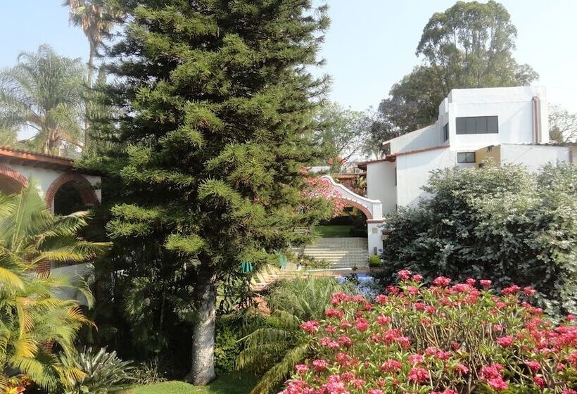 فندق Vista Hermosa