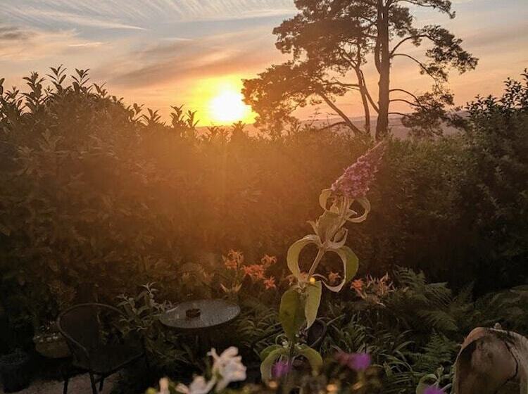 Bed and Breakfast Cosy Snug Room With Shower Ensuite Private Balcony With Countryside Views And A Real Open Fireplace