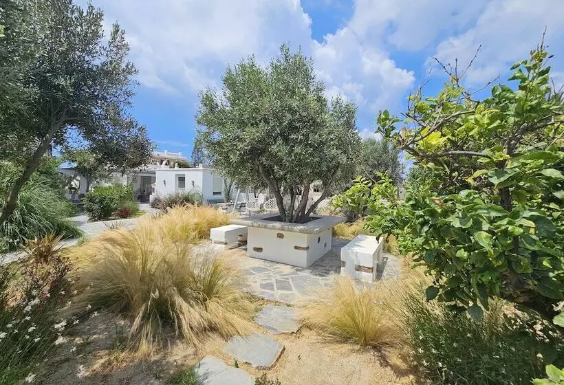 Sunlight Naxos Studio