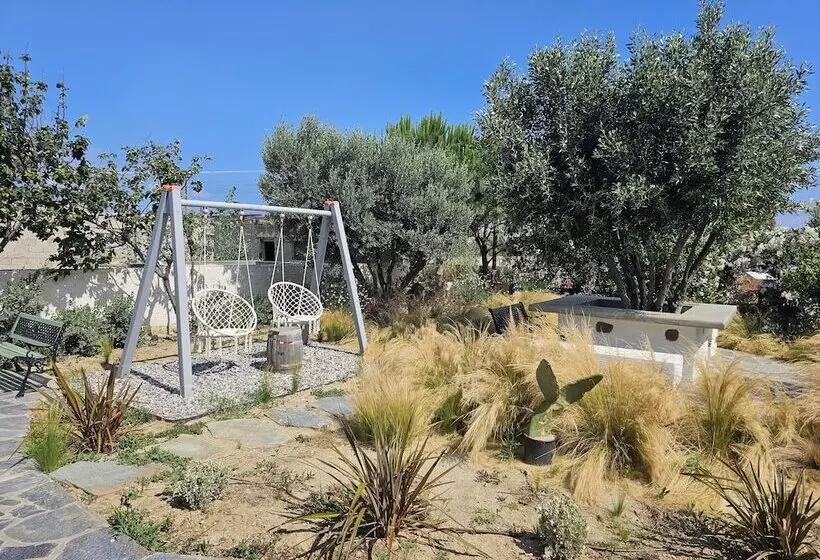 Sunlight Naxos Studio