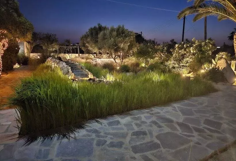 Sunlight Naxos Studio