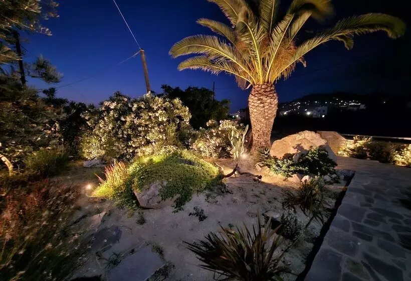 Sunlight Naxos Studio