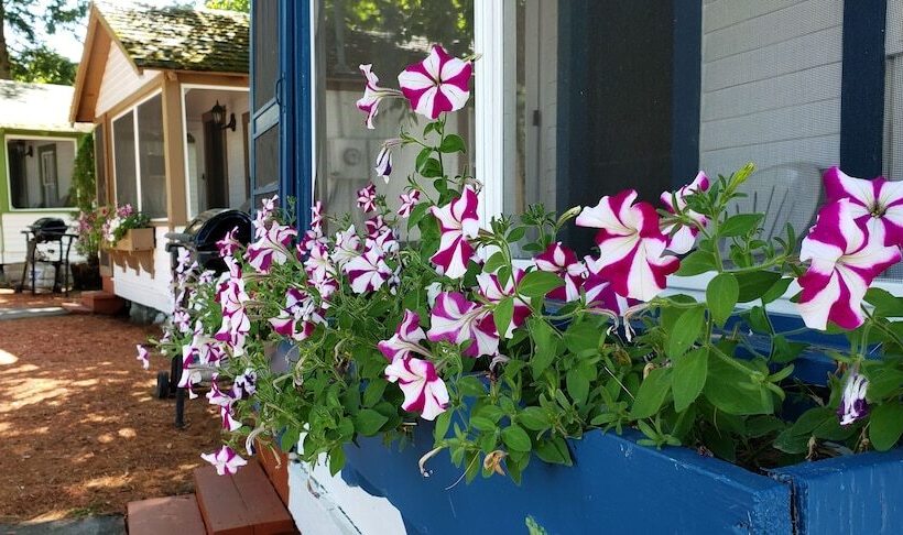 Weirs Beach Motel & Cottages