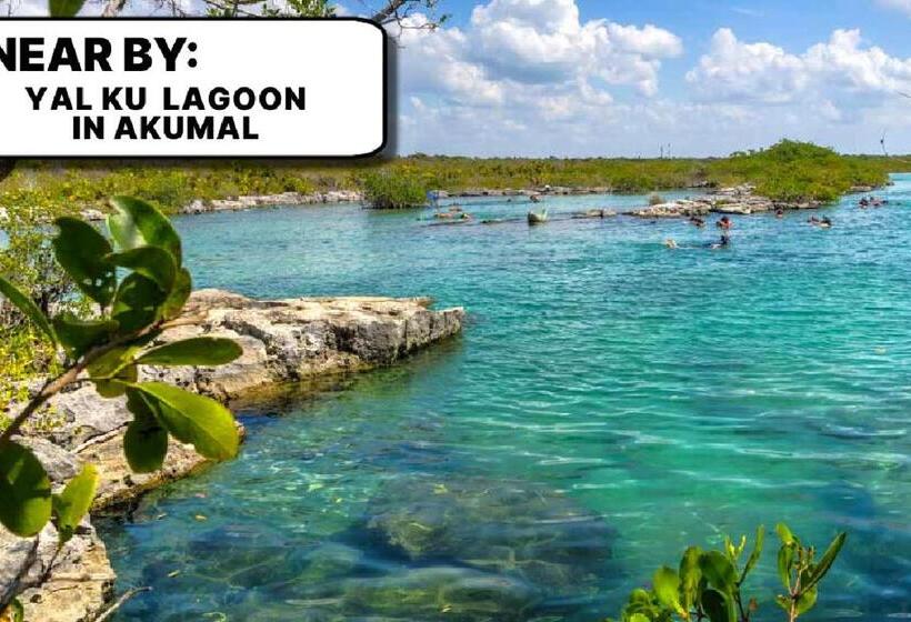 مبيت وإفطار Camp Akumal   Hosted Family Bungalows