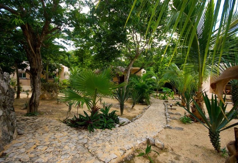 مبيت وإفطار Camp Akumal   Hosted Family Bungalows