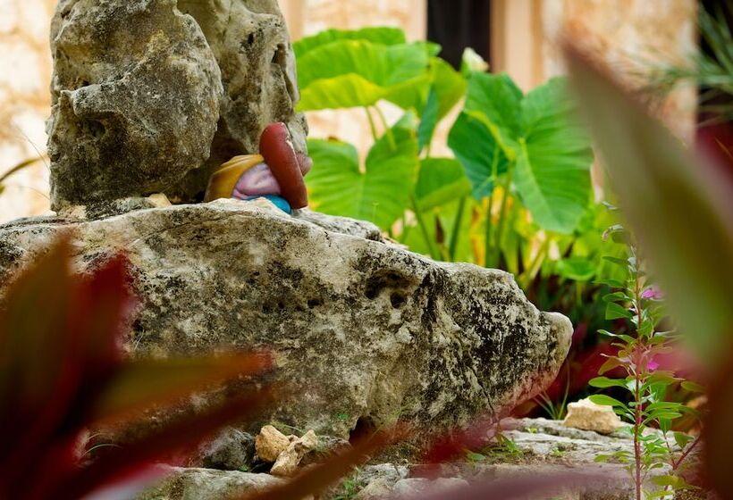 مبيت وإفطار Camp Akumal   Hosted Family Bungalows