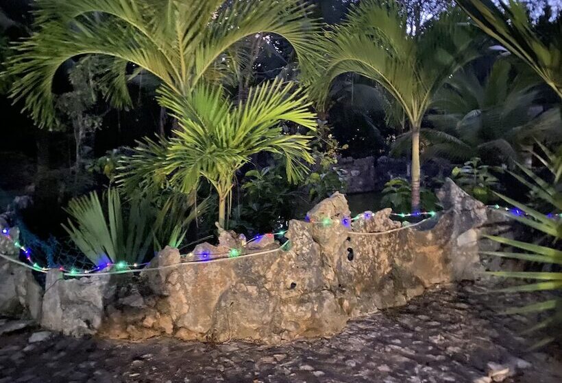 مبيت وإفطار Camp Akumal   Hosted Family Bungalows