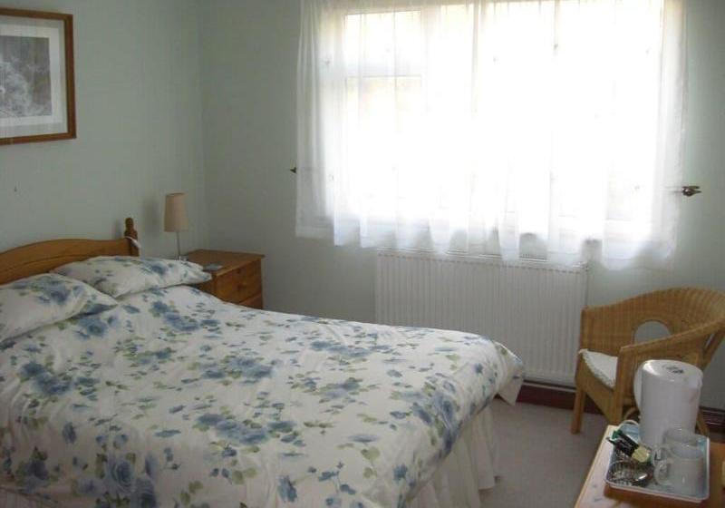 ベッドアンドブレックファースト Colossus