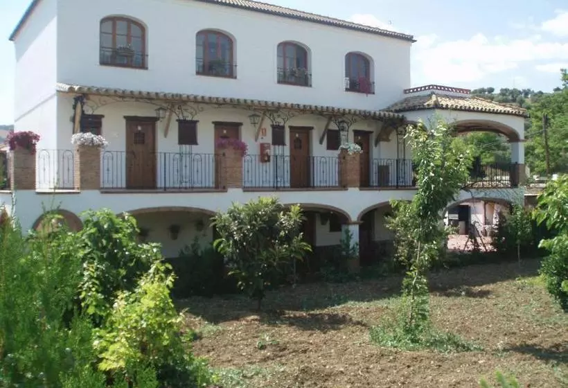 Отель Enrique Calvillo