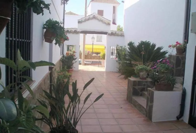 Отель Enrique Calvillo