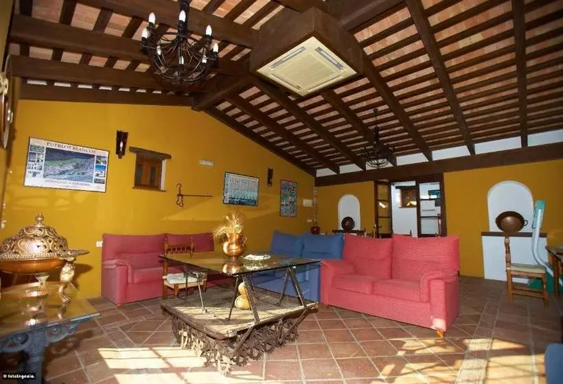 Отель Enrique Calvillo