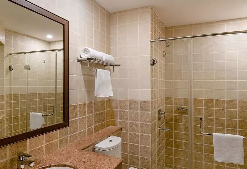 בית מלון כפרי Country Inn & Suites By Radisson, Goa Candolim