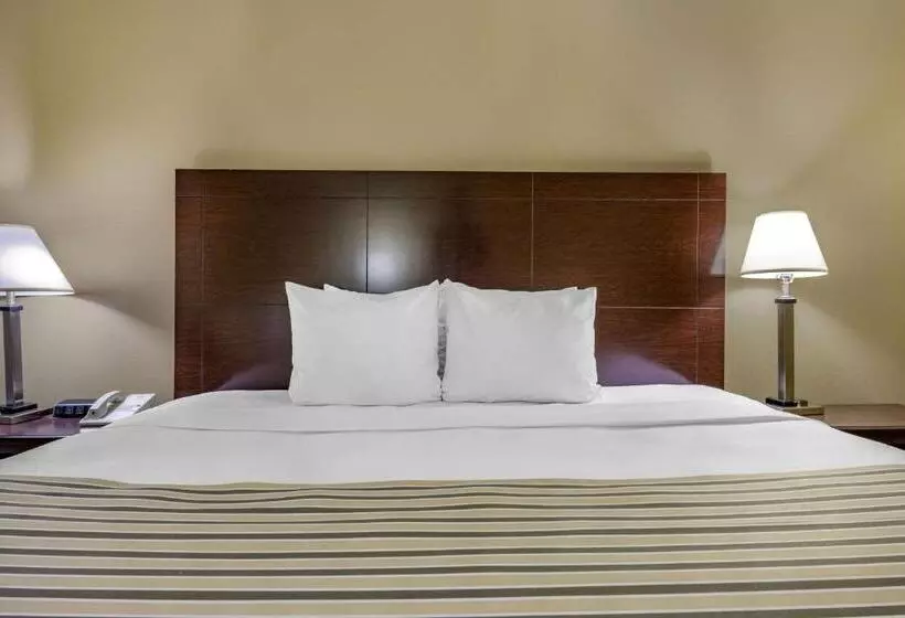Отель Econo Lodge Inn & Suites Triadelphia Wheeling