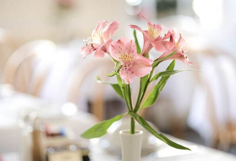 ホテル Edgar Townhouse