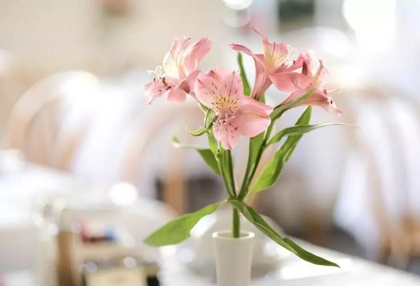 ホテル Edgar Townhouse