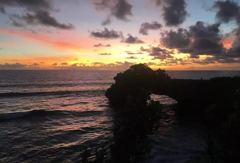 בית מלון כפרי New Danas Canggu Guest House