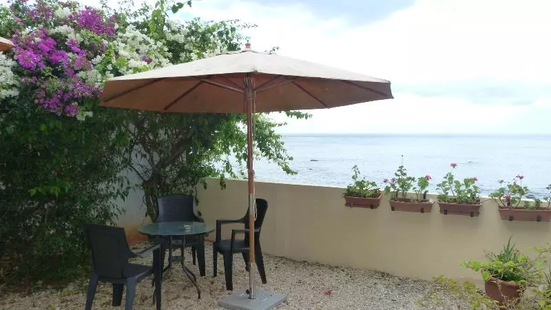 Le Cactus Guest House