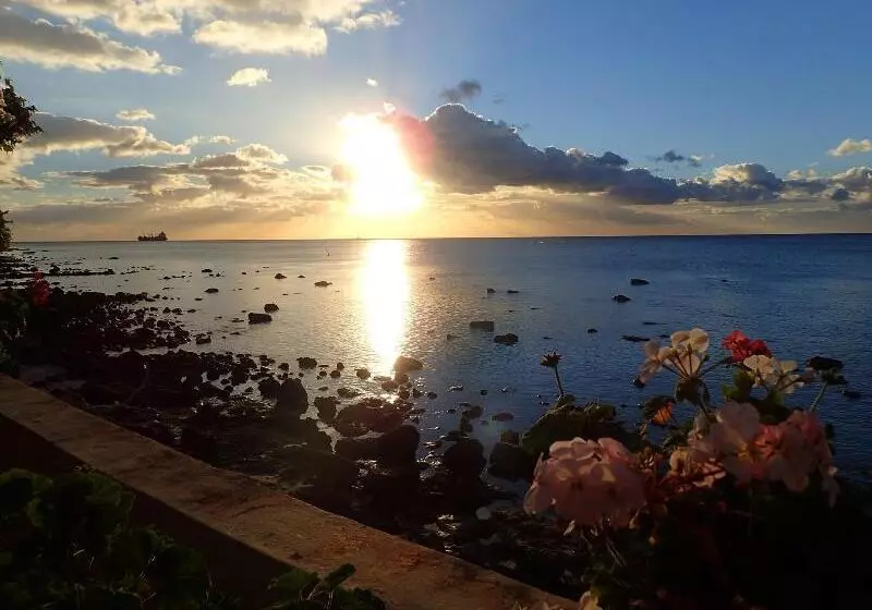 Le Cactus Guest House