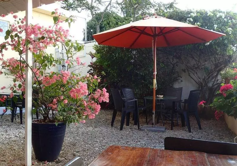 Le Cactus Guest House